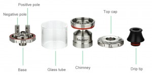 Arctic Dolphin Hector