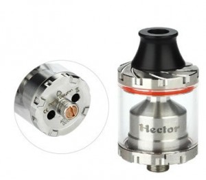 Arctic Dolphin Hector